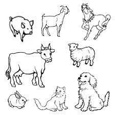 Planse de colorat caini in categoria animale. Planse De Colorat Cu Animale Pasari Gratuit Pentru A Imprima