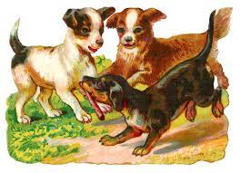 The Three Dogs Story Yeti