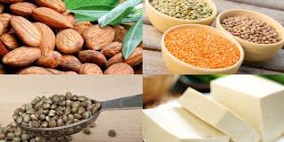 Bagi tubuh manusia, protein berperan dalam pembentukan fisik, meliputi organ dalam, otot, kulit, hormon diet tinggi protein juga dapat menjaga berat tubuh tetap ideal dengan mengurangi lemak perut, serta meningkatkan massa dan kekuatan otot. 10 Jenis Makanan Yang Mengandung Protein Dari Telur Sampai Kacang Kedelai Merdeka Com