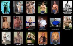 Fit Bear Google Search Ideal Body Body Chart Mens Body