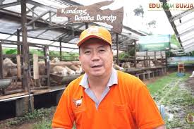 Contoh surat perjanjian kontrak rumah atau sewa rumah. Mengintip Cuan Dari Bisnis Peternakan Kambing Dan Domba Halaman All Kompas Com