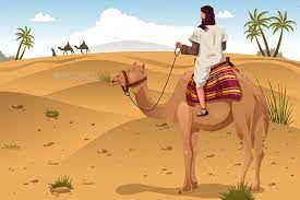 6 seeing a camel at home. Arabian Riding Camels On The Desert Ride Drawing Desert Painting Camels