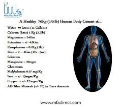 Almost 99 Of The Mass Of The Human Body Is Made Up Of Six Elements Oxygen Carbon Hydrogen Nitrogen Calcium And Ph Minerals Mineral Deficiency Human Body