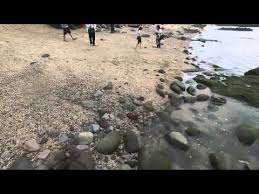 空拍機與狗的愛恨情仇十八王公廟沿海岸線空拍攝影空中攝影機空拍機師推薦 outdoor water coastline