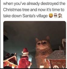 Top 75 Funny Cats Memes Funny Cat Memes Funny Animal Memes Funny Pictures