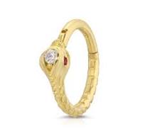 Snake Hinged Segment Rings
