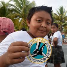 Yellow Dog Community & Conservation Foundation