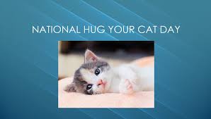 Prices go up march 1, 2021. National Hug Your Cat Day 2021 Activities Celebration Everything Top Stories 247