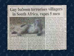 Did a Gay Baboon Terrorize an African Village? | Snopes.com