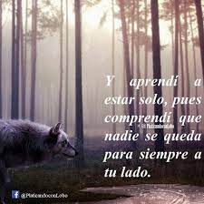 Pin By Anderson Rios On Frases De Lobos Quotes Wolf Movie Posters