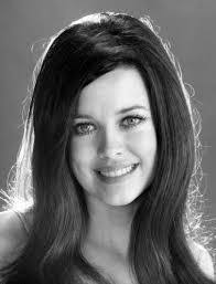 Phyllis David's Instagram, Twitter & Facebook