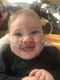 A Bengals fan's life