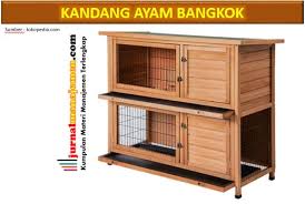 Kisa ayam tas ayam keranjang ayam ebod ayam bangkok kandang ayam tas kiso ayam . Berbagai Desain Model Kandang Ayam Bangkok Dan Cara Membuatnya