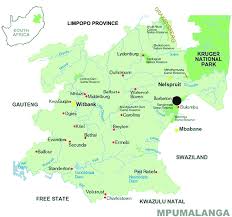 Image result for Viscum combreticola