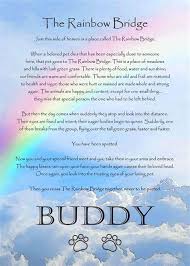 They simply were lying in the grass, staring forlornly at the pathway across the rainbow bridge. Rainbow Bridge Poem Free Printable Version Rainbow Bridge Poem Printable Version Bing Rainbow