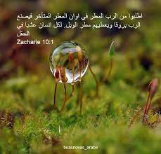اطلبوا من الرب المطر في اوان المطر المتأخر فيصنع الرب بروقا ويعطيهم مطر الوبل لكل انسان عشبا في الحقل Zacha Photography Photography Skills Digital Photo Frame