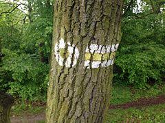 Here are top five route planners of 2020 but it has seen upgrades in the existing route planner walking apps. Walking Routes Openstreetmap Wiki