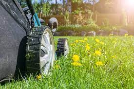 Perform a soil test for your lawn soil. A Step By Step Lawn Care Guide Spring Lawn Care Service