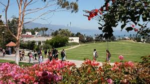 Middlesex community college has a lot to offer students for the fall 2021 semester. Santa Barbara City College Sbcc The College Board