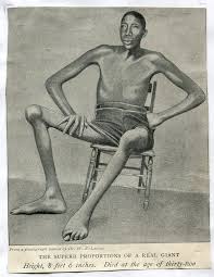 John 'Bud' Rogan (1868-1905)