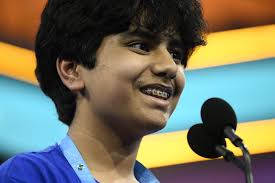 Down Arrow Button Icon