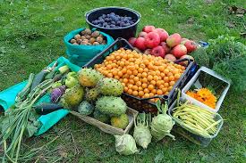Taking care of the trees is something we should all be worried about. Orchards Nuts And Fruit Tree Growing Guides Gardener S Path