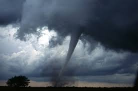 Na místo vyrazily jednotky záchranářů z několika koutů česka, pomoc vyslalo také sousední rakousko. Foto Tornado V Cesku Vcerejsi Boure Prinesla Neobvykle Pocasi Eurozpravy Cz