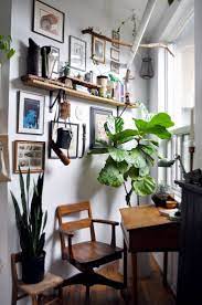 40 Plants Fill This Couple S 500 Square Foot Studio House Interior Home Interior