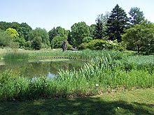 Showing all works by author. Botanical Garden Frankfurt Wikipedia