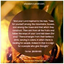 16:69 daily ayat quran from surah an nahl. Pin By On Islam Is Beautiful Gods Guidance Beautiful Names Of Allah Quran