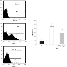 Search land for sale in libby mt. Effect Of Clopidogrel On The Expression Of Inflammatory Markers In Rabbit Ischemic Coronary Artery Molero 2005 British Journal Of Pharmacology Wiley Online Library