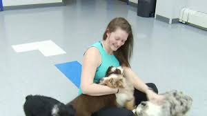 Whether traveling by yourself or visiting with the entire family, you can take advantage of some of the great free things to do in the roanoke valley. Puppy Pilates Trade Your Hand Weights In For Puppies