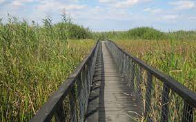 Insa atractia principala a locului este parcul natural comana. Destinatie De Weekend Parcul Natural Comana Articole Calatorim Ro