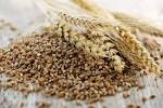La lista completa dei cereali e le loro propriet - Esperienziando Vitae