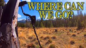 Analysing site traffic and usage. How To Use A Metal Detector Like A Pro Extensive Guide