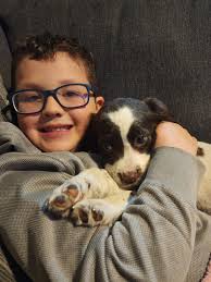 Fundraiser for pet's medical treatment and recovery