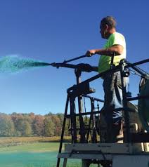 Hydroseeding is an effective way to seed your lawn without the need of manually distributing the seeds, fertilizer and mulch since you can do it all at once spraying a mixture of the three—plus. The Profitability Of Hydroseeding Turf Magazine