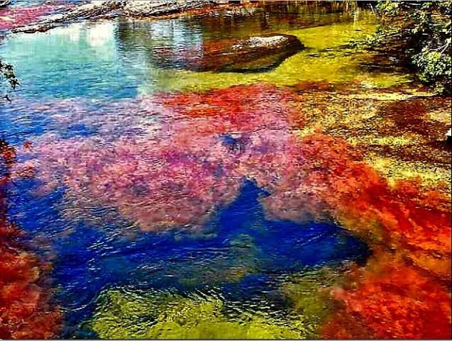 Rainbow river