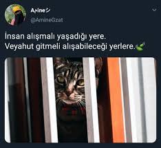 resmin uzerine tiklayarak peygamberimizin hayatini dinleyerek ogrenebilirsiniz ilham verici sozler hayat ozlu sozler