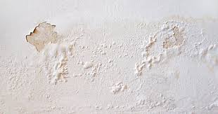 Building Inspectors | Professional Indemnity Insurance | Inspection report 