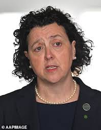 Campaign poster is brazenly ripped in half by locals as election war  explodes in hotly contested Melbourne seat