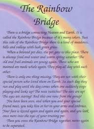 The rainbow bridge there is a bridge connecting heaven & earth. Rainbow Bridge Poem Dogs Rainbow Bridge Dog Rainbow Bridge Dog Poem Rainbow Bridge Poem