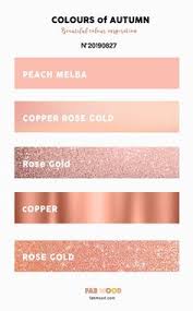 These values can help you match the specific shade you are looking for and even help you find complementary colors. Champagne Rose Gold Color Code Google Search Rose Gold Color Palette Wedding Rose Gold Theme Gold Wedding Colors