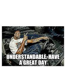 Understandable Have A Great Day Meme Template Good Day Meme Meme Template Funny Memes
