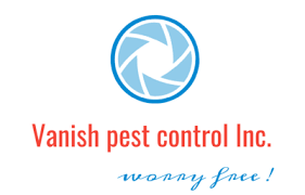 Pest inspection services in your area. Pest Inspection Mississauga Best Pest Inspection Near Me Vanish Canada
