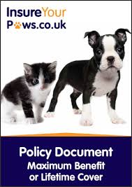 Healthcare insurance is a confusing topic to understand. Pet Insurance Policy Documents Insureyourpaws Co Uk