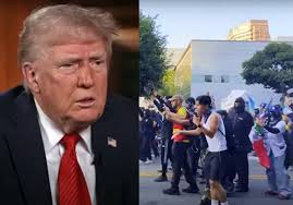 Trump Now Wants to Let Undocumented Immigrants Stay to Prevent Farm Labor  Shortage