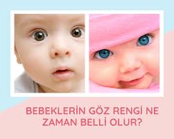 Yeni Dogan Bebegin Goz Rengi Ne Zaman Belli Olur