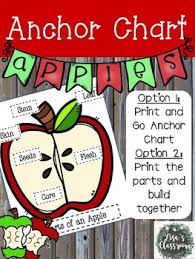 Apple Anchor Chart Print And Teach Or Label The Apple As A Class