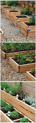 Haz Tu Propio Huerto En Casa Diy Plants Raised Garden Backyard Garden